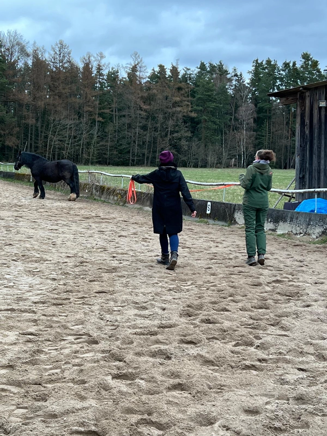 Seelenanker Pferde - Pferdetrainer und Reitpädagoge - Zwei Personen üben Bodenarbeit in einem sandigen Außenreitplatz und beobachten ein schwarzes Pferd in der Ferne.