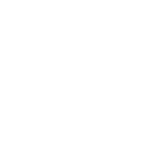 Seelenanker Pferde - Pferdetrainer und Reitpädagoge - Symbol