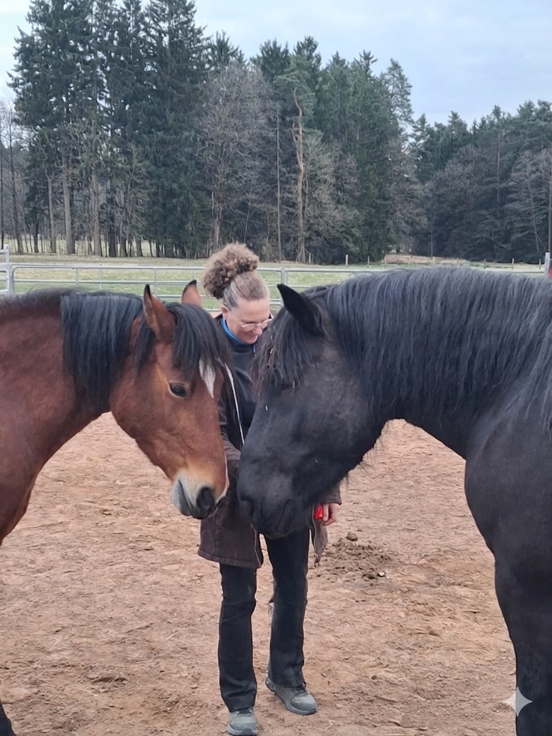 Seelenanker Pferde - Pferdetrainer und Reitpädagoge - Eine Frau Pferde ein Pferdepflege.