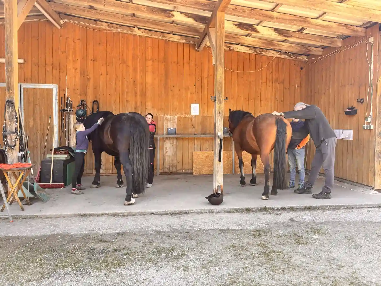 Seelenanker Pferde - Pferdetrainer und Reitpädagoge - Pferdepflege
