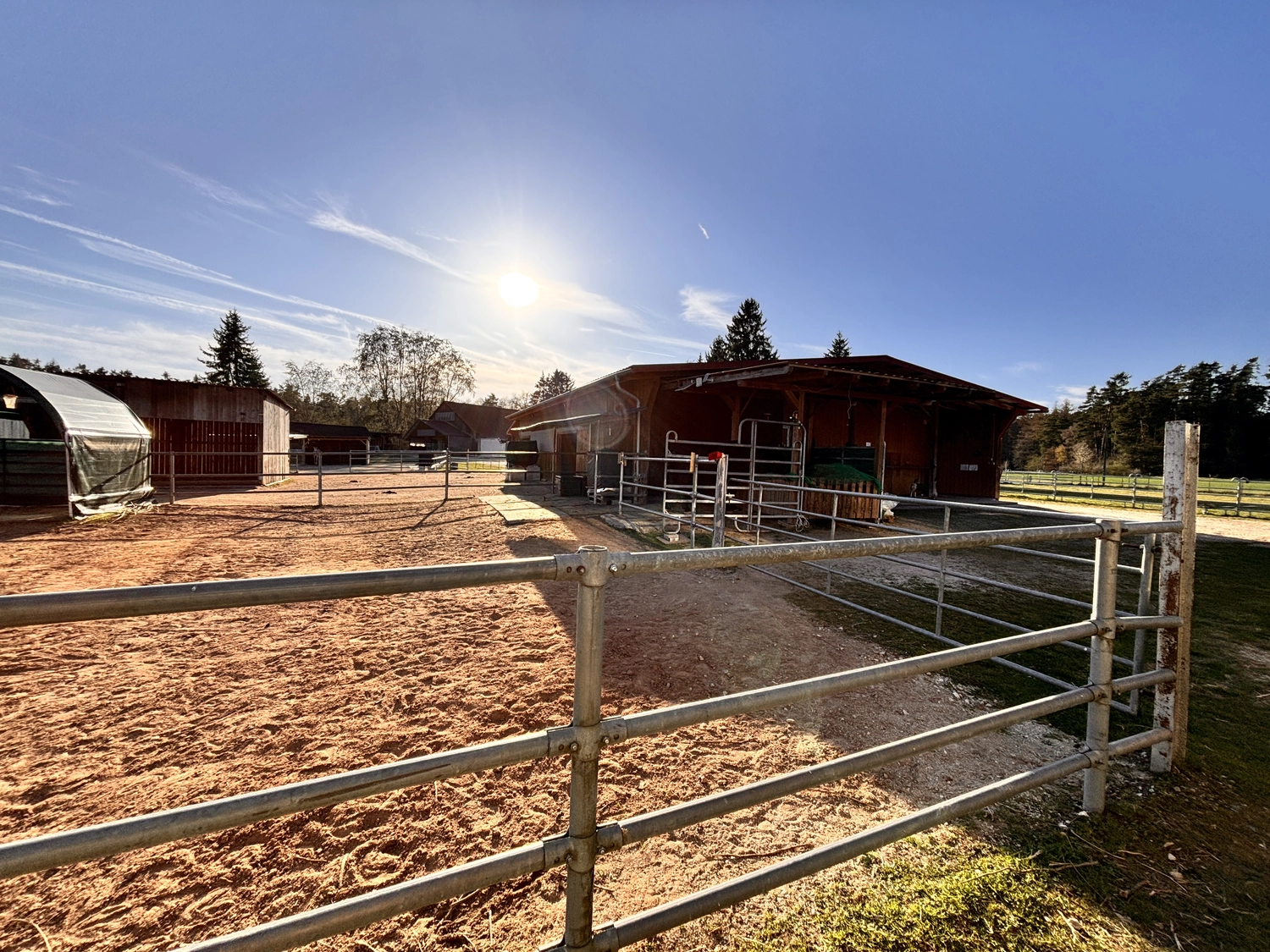 Seelenanker Pferde - Pferdetrainer und Reitpädagoge - Eine sonnige Pferderanch im Freien mit Paddocks aus Erde, Metallzäunen und Scheunen unter strahlend blauem Himmel.