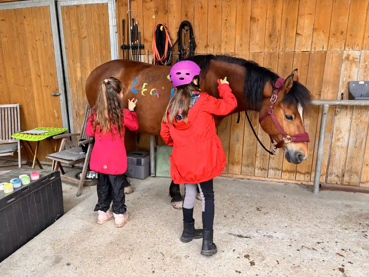 Seelenanker Pferde - Pferdetrainer und Reitpädagoge - Veranstaltung für Kindergartenkinder im Reitzentrum