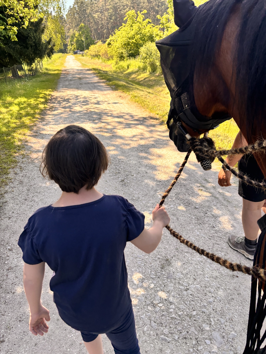 Seelenanker Pferde - Pferdetrainer und Reitpädagoge - Ein junges Kind mit kurzen braunen Haaren führt, von hinten gesehen, ein Pferd am Führstrick auf einem sonnigen Feldweg.