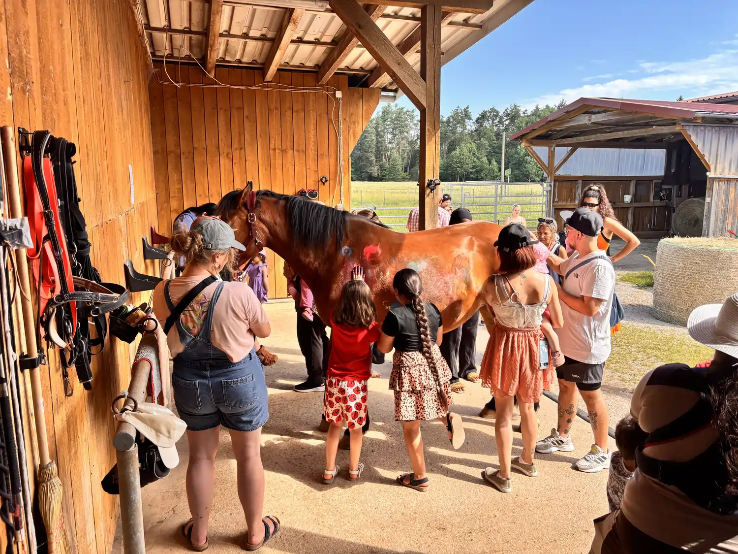 Seelenanker Pferde - Pferdetrainer und Reitpädagoge - Eine Gruppe von Menschen, darunter auch kleine Kinder, kümmert sich vor einer Pferdepflege ein großes, dunkelbraunes Pferd.