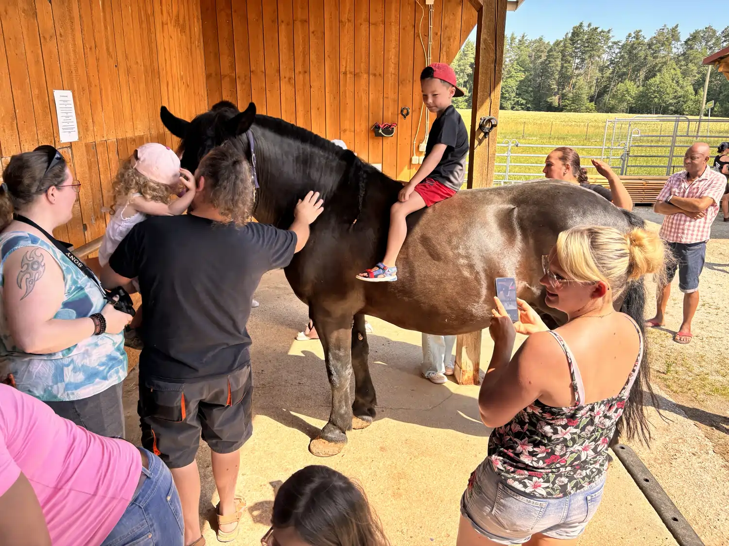Seelenanker Pferde - Pferdetrainer und Reitpädagoge - Eine Gruppe von Menschen, darunter auch kleine Kinder, kümmert sich vor einer Pferdepflege ein großes, dunkelbraunes Pferd.