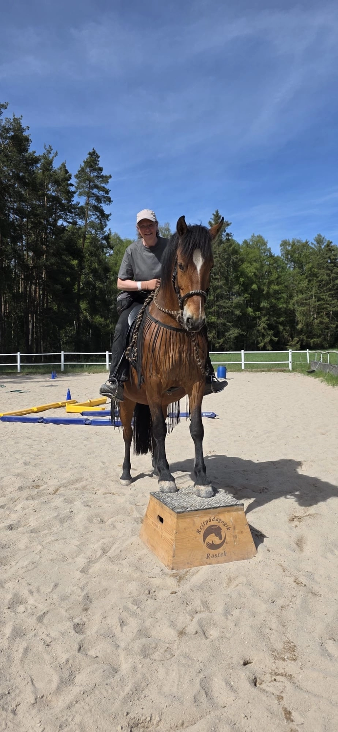 Seelenanker Pferde - Pferdetrainer und Reitpädagoge - Pferdeausbildung
