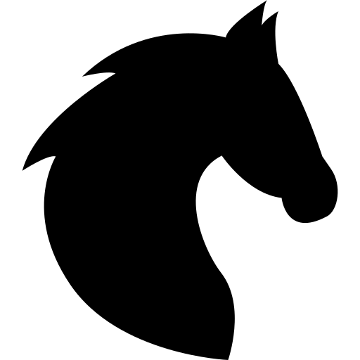 Seelenanker Pferde - Pferdetrainer und Reitpädagoge - Symbol