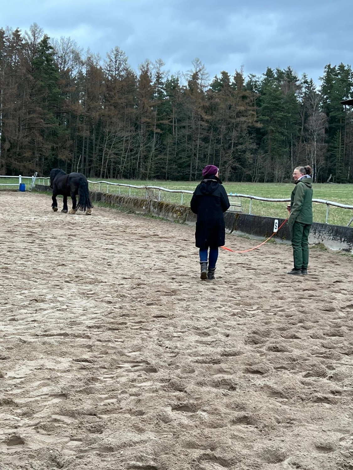 Seelenanker Pferde - Pferdetrainer und Reitpädagoge - Zwei Personen üben Bodenarbeit in einem sandigen Außenreitplatz und beobachten ein schwarzes Pferd in der Ferne.