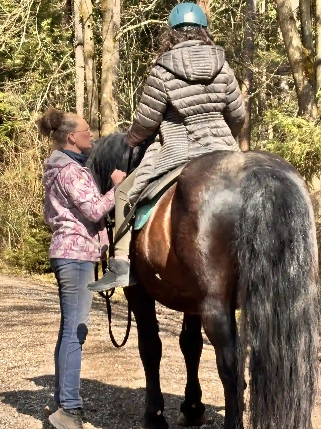 Seelenanker Pferde - Pferdetrainer und Reitpädagoge - Reitunterricht