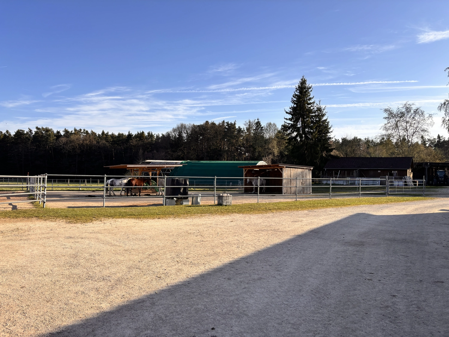 Seelenanker Pferde - Pferdetrainer und Reitpädagoge - Ein Kiesplatz, der zu umzäunten Pferdekoppeln mit Unterständen und Bäumen unter einem klaren blauen Himmel führt.