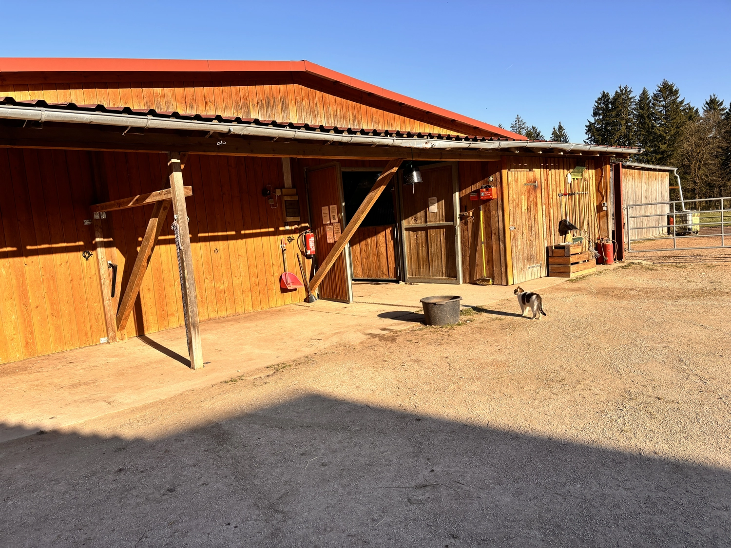 Seelenanker Pferde - Pferdetrainer und Reitpädagoge - Eine überdachte Holzterrasse oder ein Stallbereich mit Betonboden, auf dem zwei Holzstühle, eine Aufbewahrungskiste und ein Hund im hinteren Bereich sitzen.