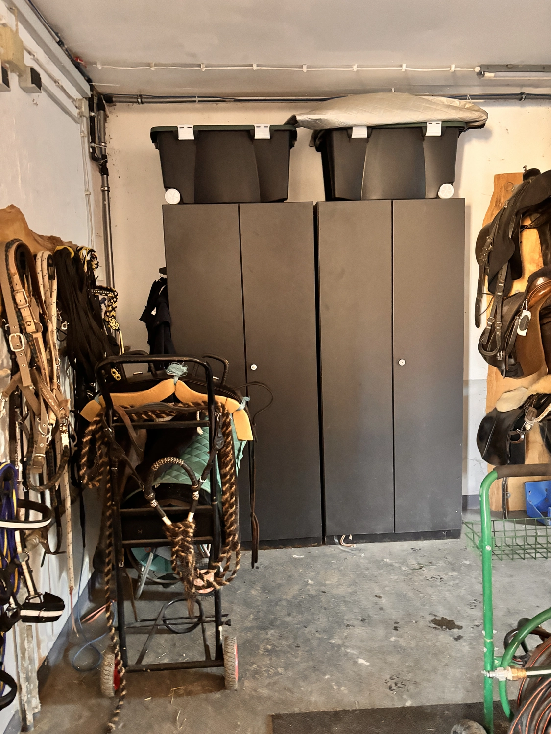 Seelenanker Pferde - Pferdetrainer und Reitpädagoge - Eine Sattelkammer mit zwei hohen, schwarzen Schränken und passenden Behältern darauf, umgeben von hängenden Zaumzeugen und Sätteln an Gestel