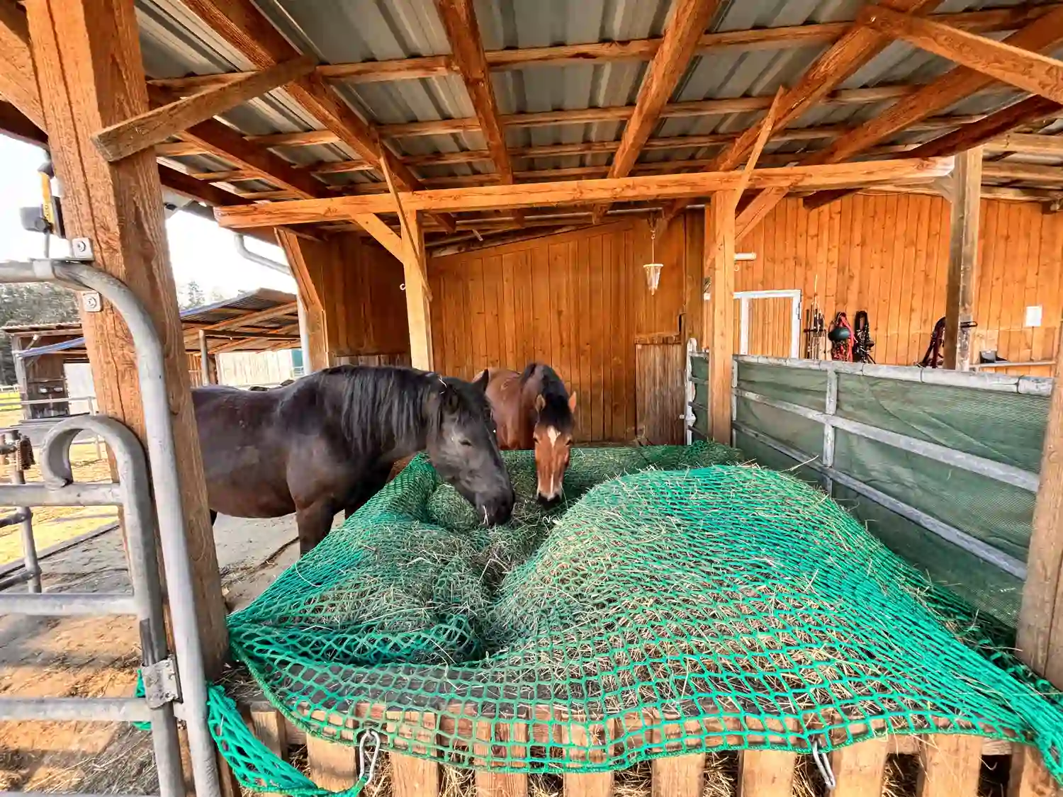 Seelenanker Pferde - Pferdetrainer und Reitpädagoge - Zwei Pferde fressen in einer Holzscheune aus einem Futtertrog.