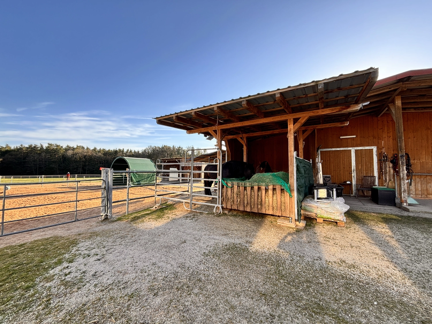 Seelenanker Pferde - Pferdetrainer und Reitpädagoge - Ein Pferd steht in einem überdachten Holzunterstand neben einem Reitplatz im Freien und einem Metallzaun.