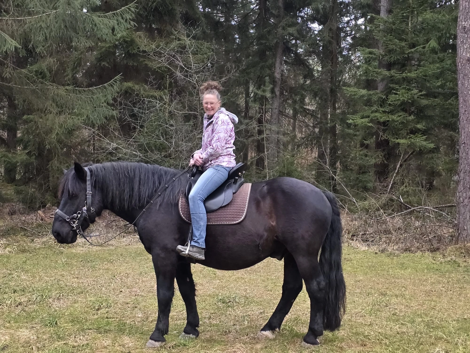 Seelenanker Pferde - Pferdetrainer und Reitpädagoge - Eine Frau reitet auf einem Pferd.