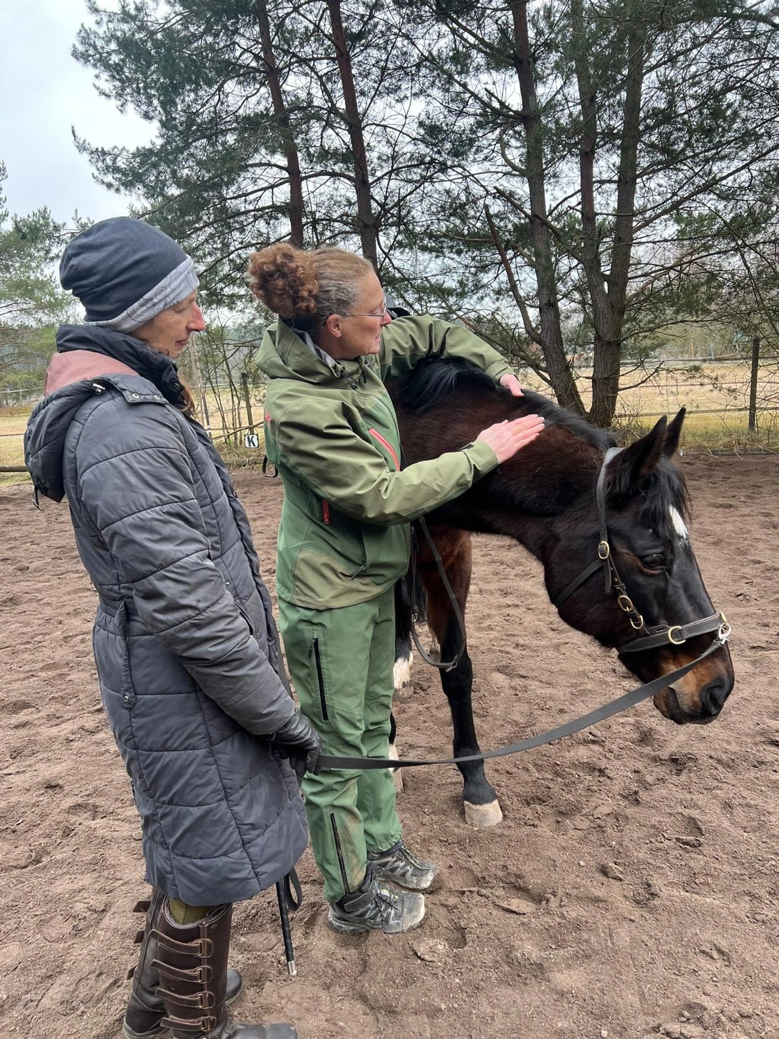 Seelenanker Pferde - Pferdetrainer und Reitpädagoge - Zwei Frauen bei der Pferdepflege.