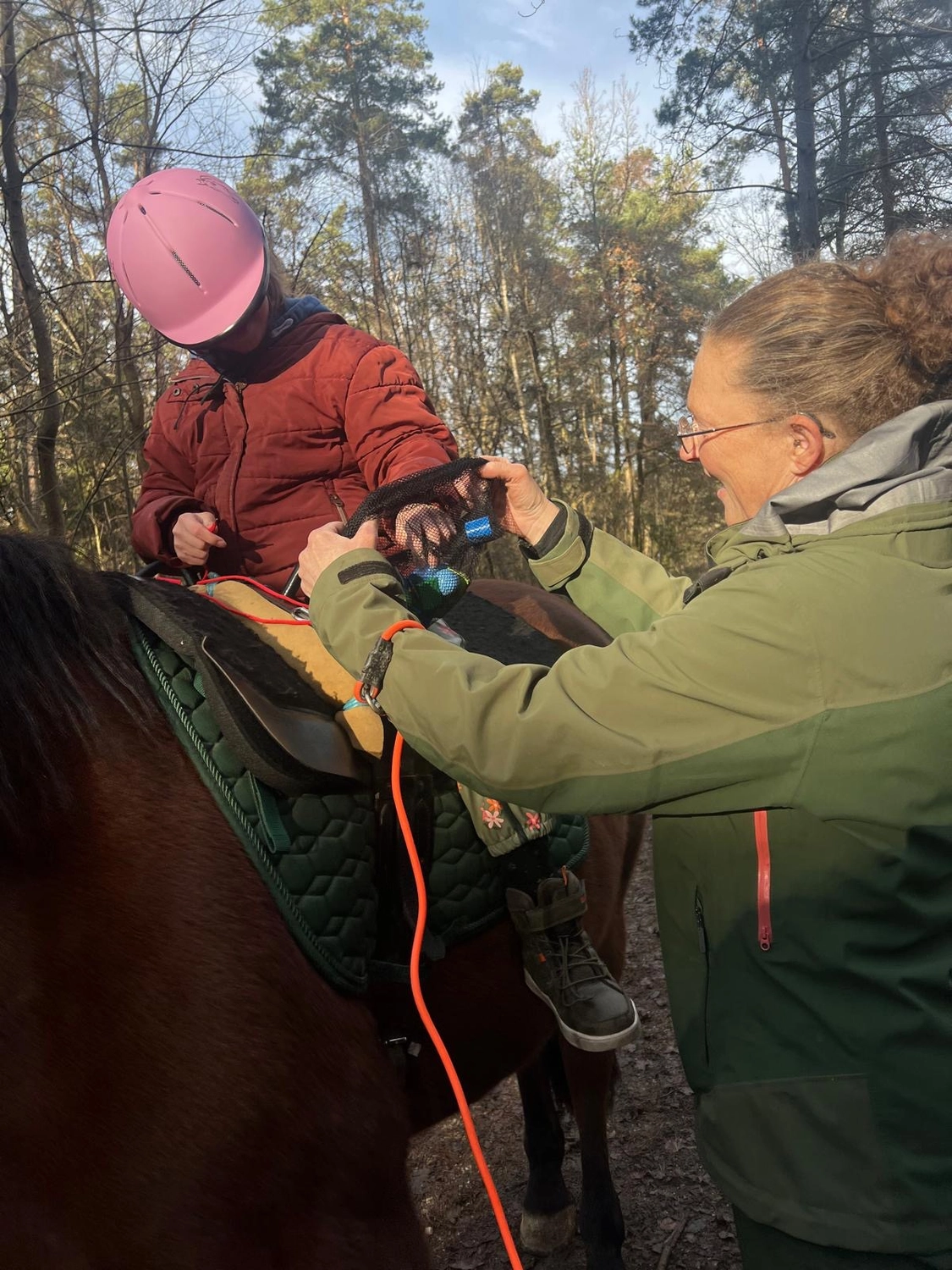 Seelenanker Pferde - Pferdetrainer und Reitpädagoge - Reitunterricht