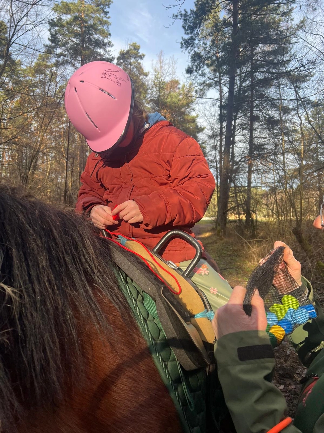 Seelenanker Pferde - Pferdetrainer und Reitpädagoge - Reitunterricht
