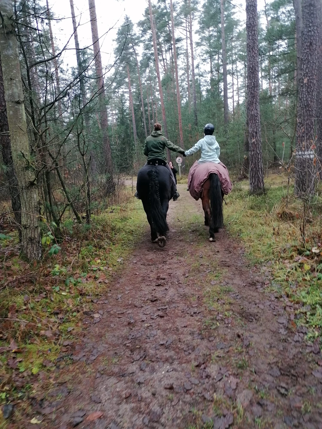 Seelenanker Pferde - Pferdetrainer und Reitpädagoge  - Zwei Personen reiten auf Pferden einen matschigen Waldweg entlang, der von hohen Bäumen umgeben ist.