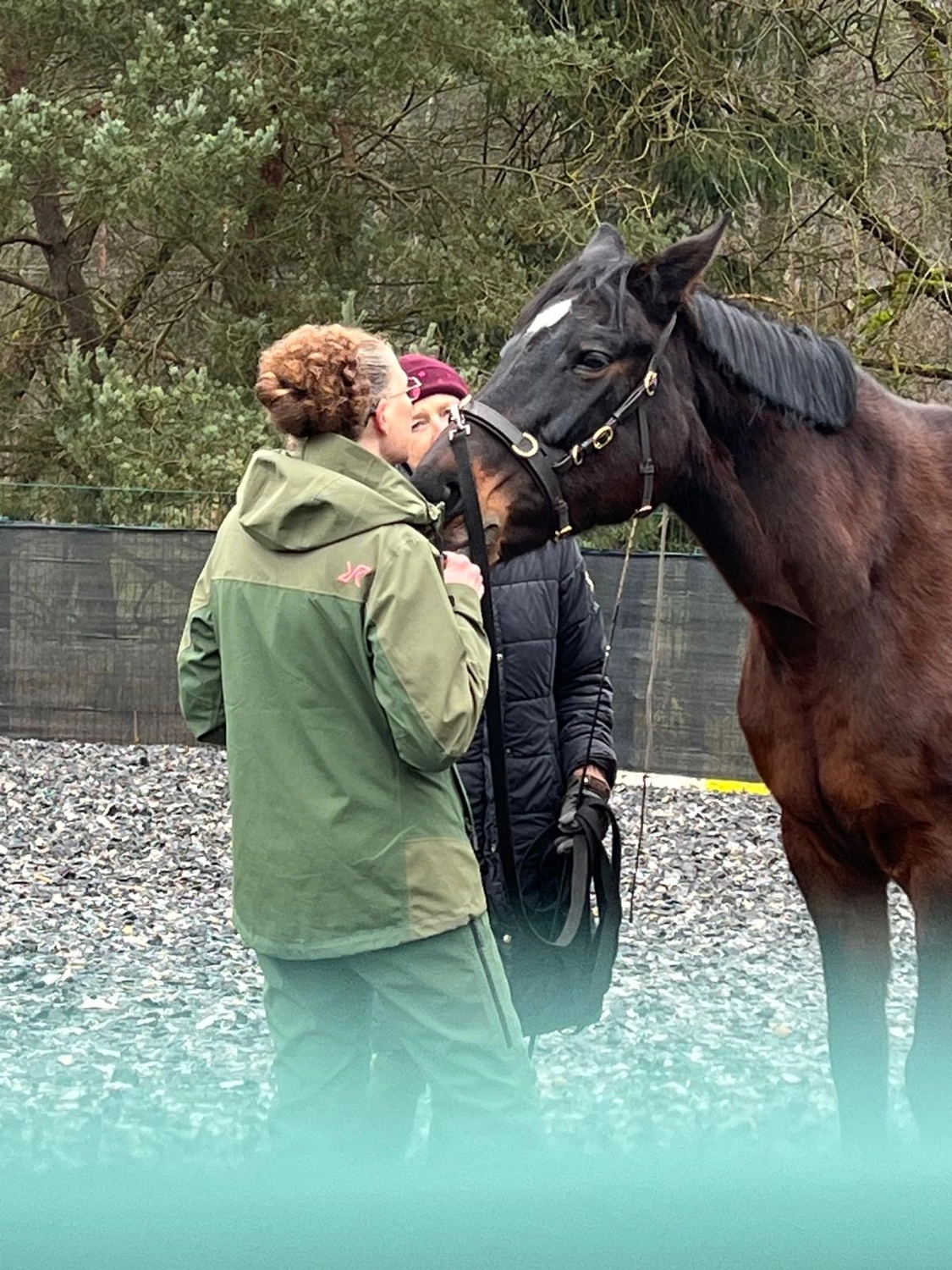 Seelenanker Pferde - Pferdetrainer und Reitpädagoge - Eine Frau in einer grünen Jacke Pferdepflege ein dunkelbraunes Pferd im Freien.