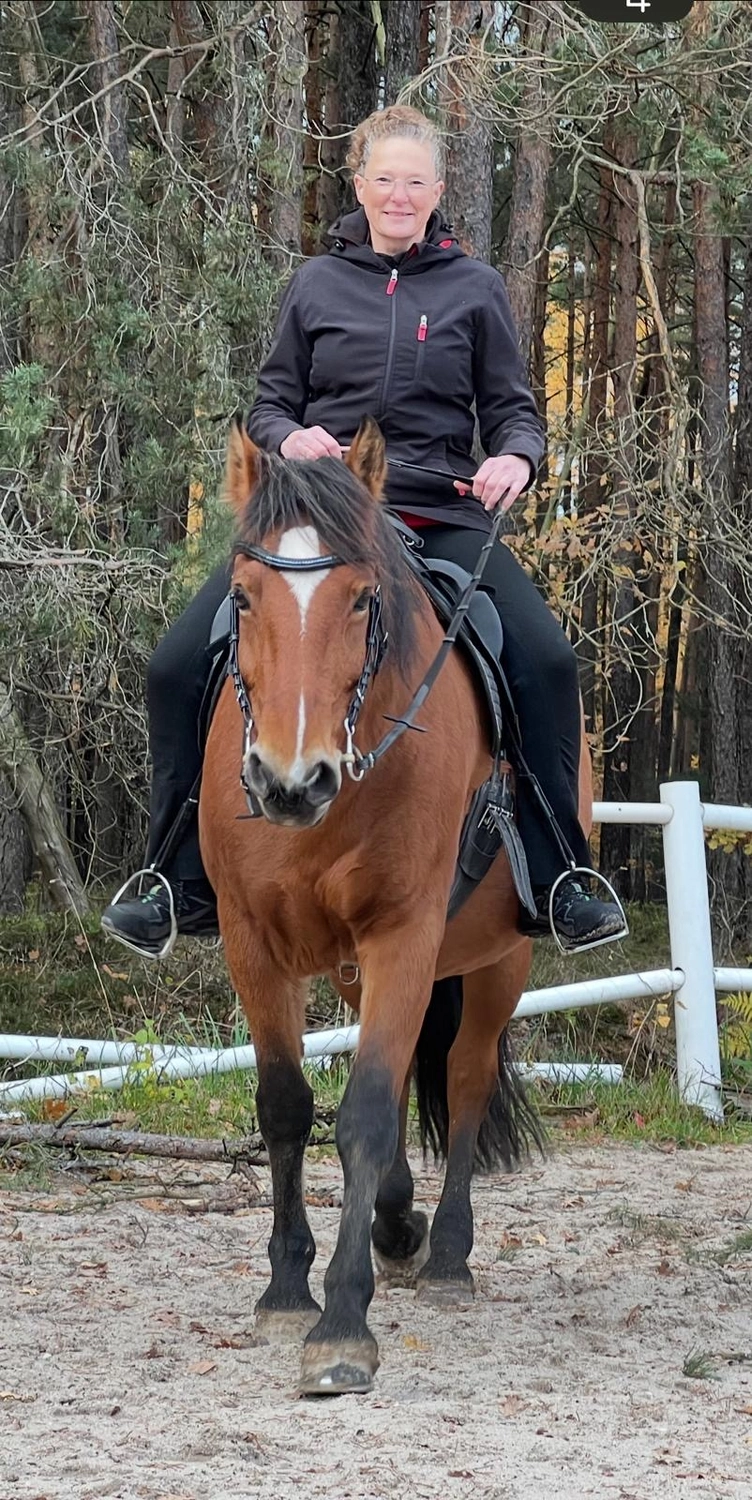 Seelenanker Pferde - Pferdetrainer und Reitpädagoge - Eine Person reitet auf einem braunen Pferd in einer sandigen Reithalle neben einem weißen Zaun.