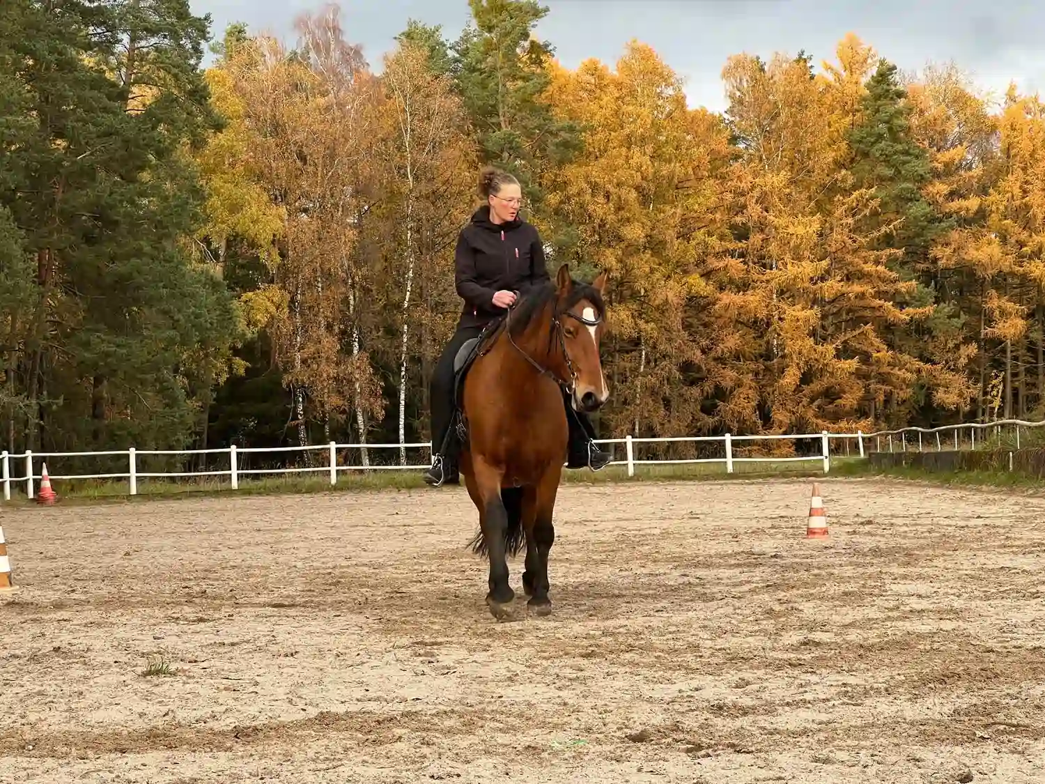 Seelenanker Pferde - Pferdetrainer und Reitpädagoge - Eine Person reitet auf einem braunen Pferd in einer sandigen Reithalle neben einem weißen Zaun.