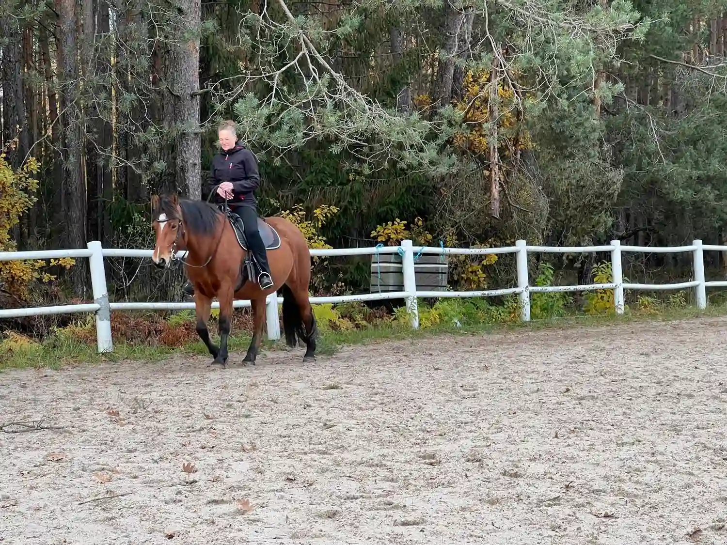 Seelenanker Pferde - Pferdetrainer und Reitpädagoge - Eine Person reitet auf einem braunen Pferd in einer sandigen Reithalle neben einem weißen Zaun.