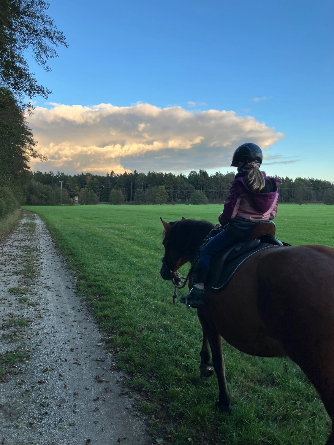 Seelenanker Pferde - Pferdetrainer und Reitpädagoge - Reitunterricht
