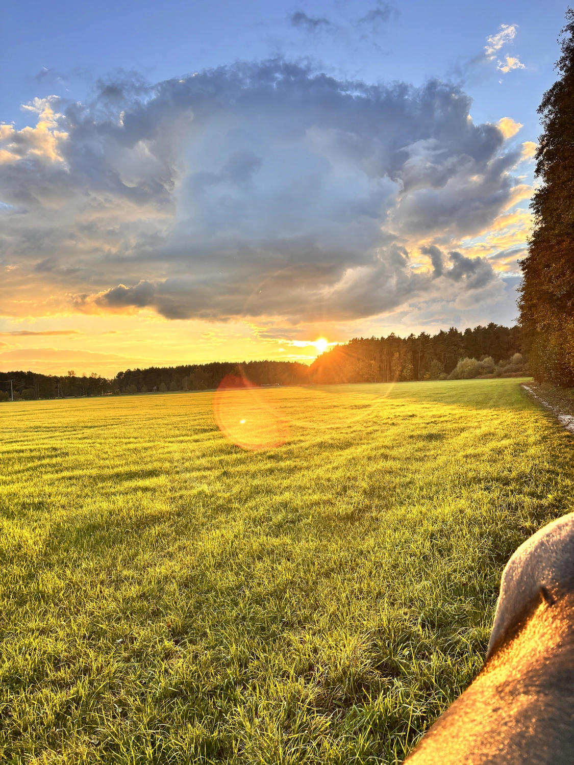 Seelenanker Pferde - Pferdetrainer und Reitpädagoge -  Sonnenuntergang über einem leuchtend grünen Feld unter einer großen Wolkenformation.