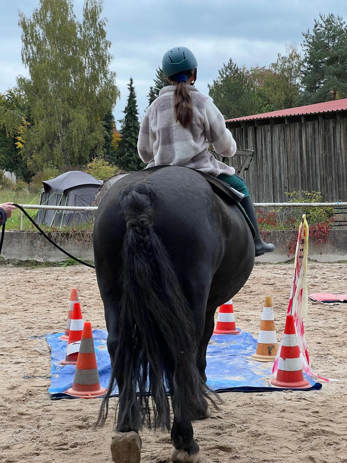Seelenanker Pferde - Pferdetrainer und Reitpädagoge - Eine Person in karierter Jacke und Helm nimmt Reitunterricht auf einem schwarzen Pferd in einem mit Hütchen abgesperrten Reitplatz.