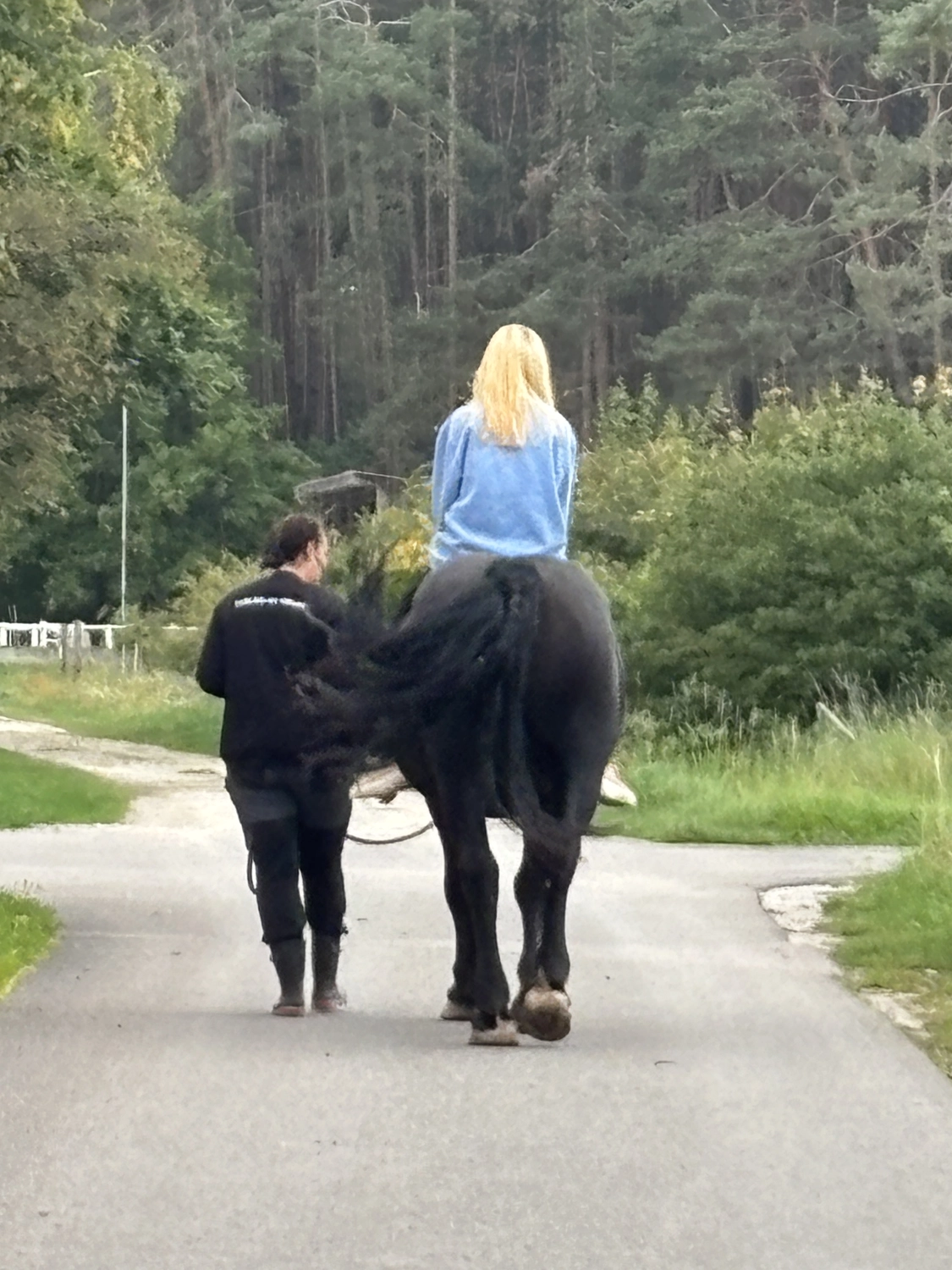 Seelenanker Pferde - Pferdetrainer und Reitpädagoge - Reitunterricht