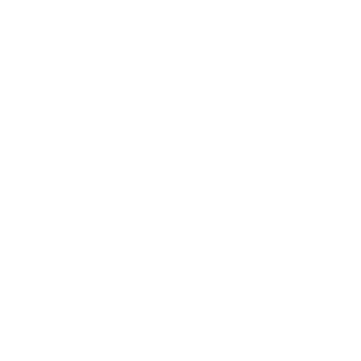 Seelenanker Pferde - Pferdetrainer und Reitpädagoge - Symbol