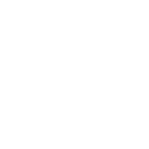 Seelenanker Pferde - Pferdetrainer und Reitpädagoge - Symbol