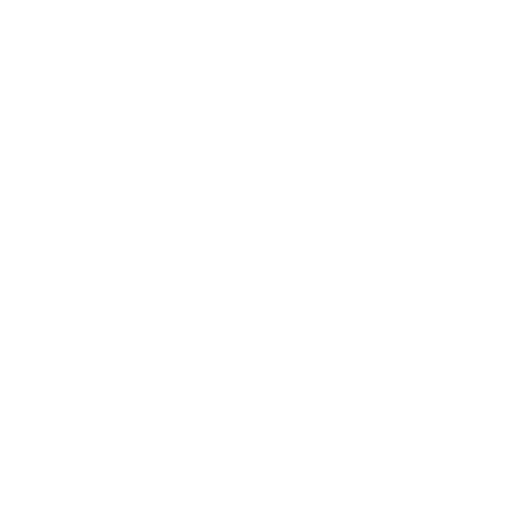 Seelenanker Pferde - Pferdetrainer und Reitpädagoge - Symbol